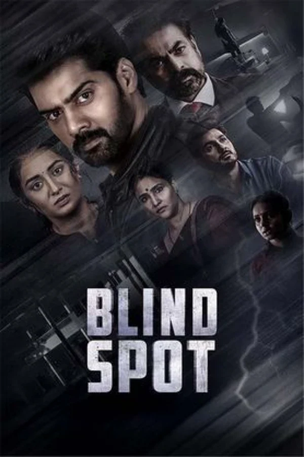 Blind Spot poster