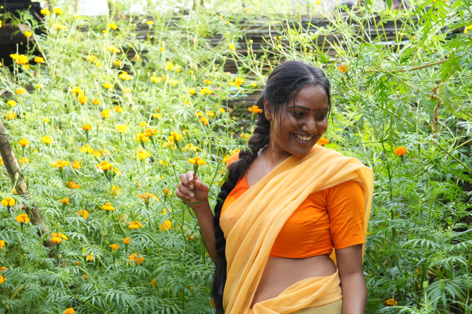 Portfolio image